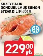 KUZEY BALIK DONDURULMUŞ SOMON STEAK DİLİM 500 G fiyat ve kampanya bilgisi